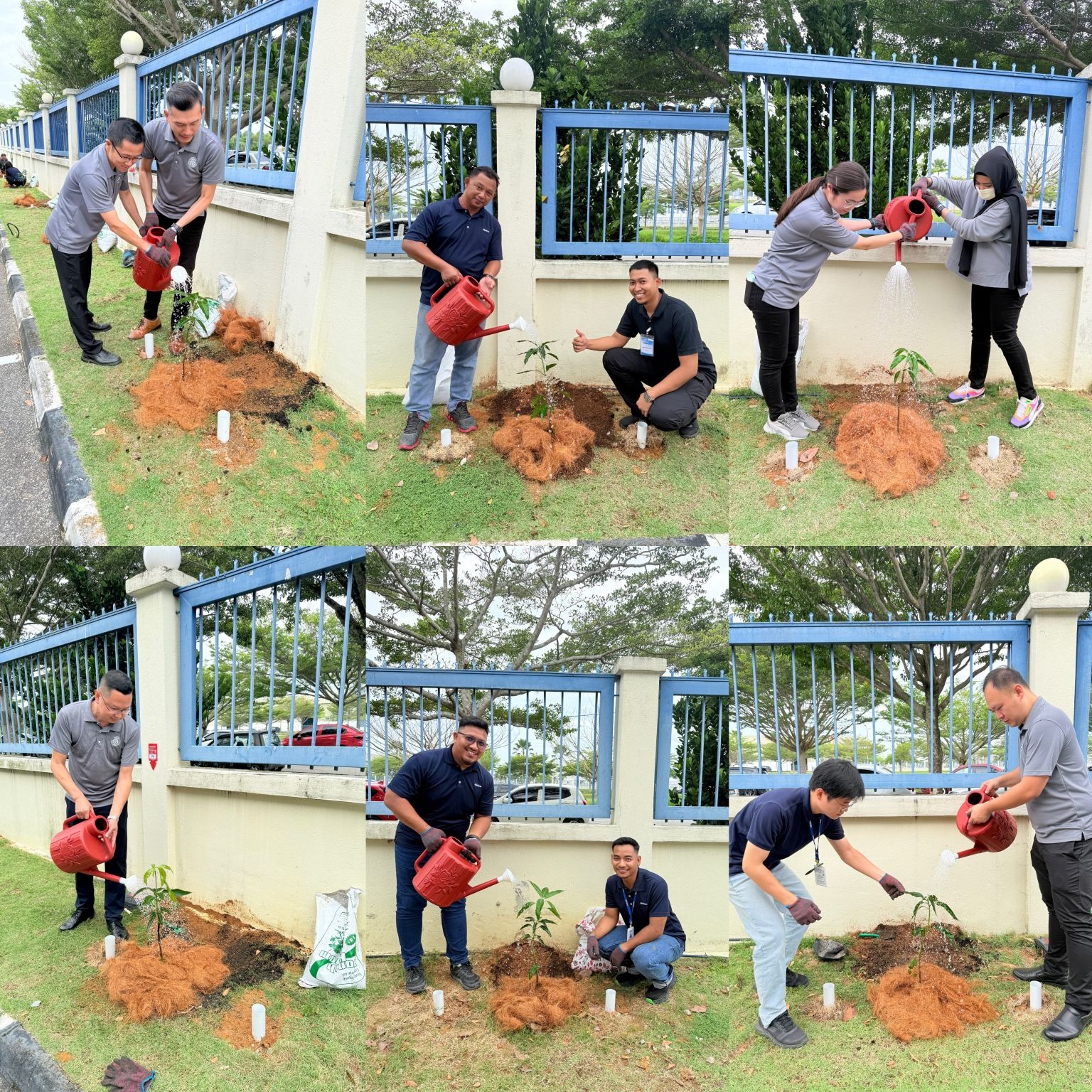 1759474987341.jpg 1759474987341.jpg